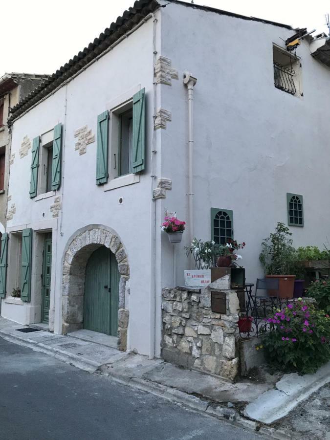 Portel-des-Corbieres Chambre D'Hotes Le Laurier Blanc מראה חיצוני תמונה